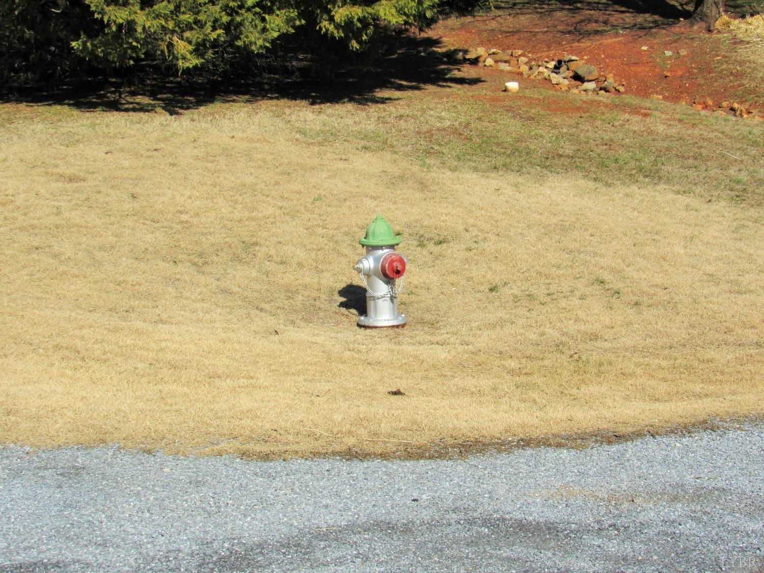 0 Cedar Street Amherst, VA 24521 - Photo 3 of 12 Gallery Image 3