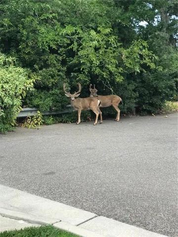 $499,000 | 1975 Heritage Oak Drive, Chico, CA 95928