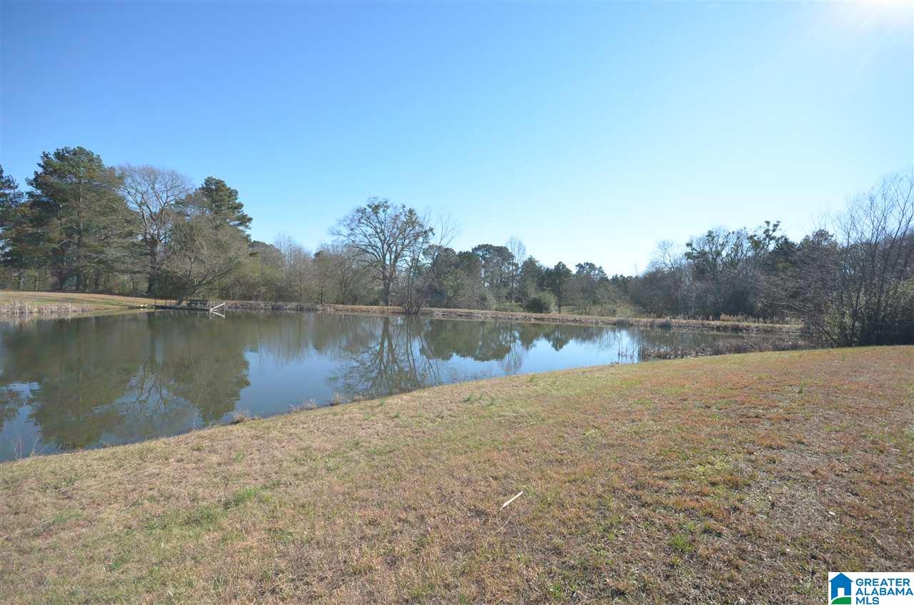 201 County Road 1476 Cullman, AL 35058 - Photo 25 of 26