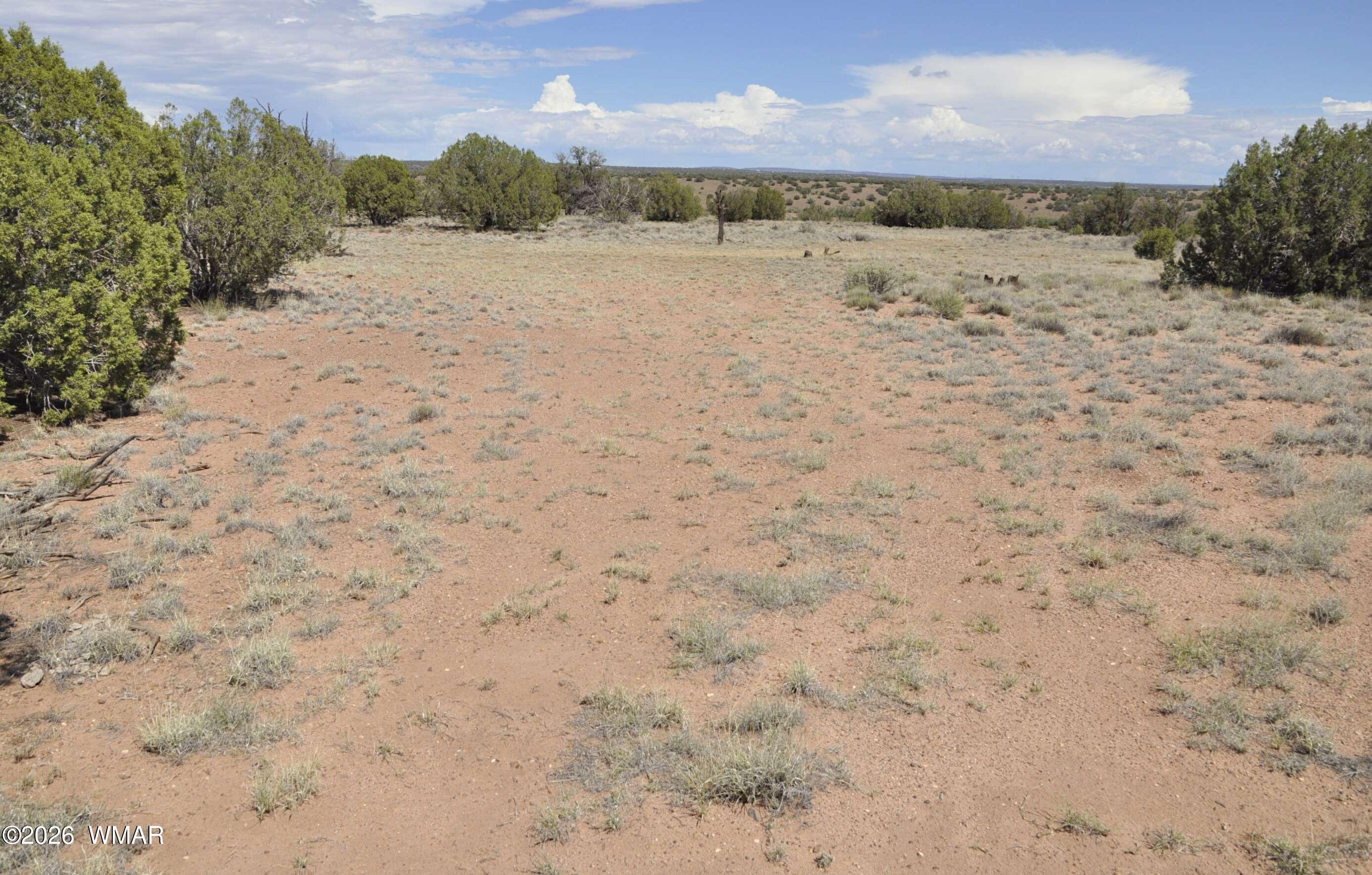 19-c & D County Road Concho, AZ 85924 - Photo 7 of 24 a view of beach and city