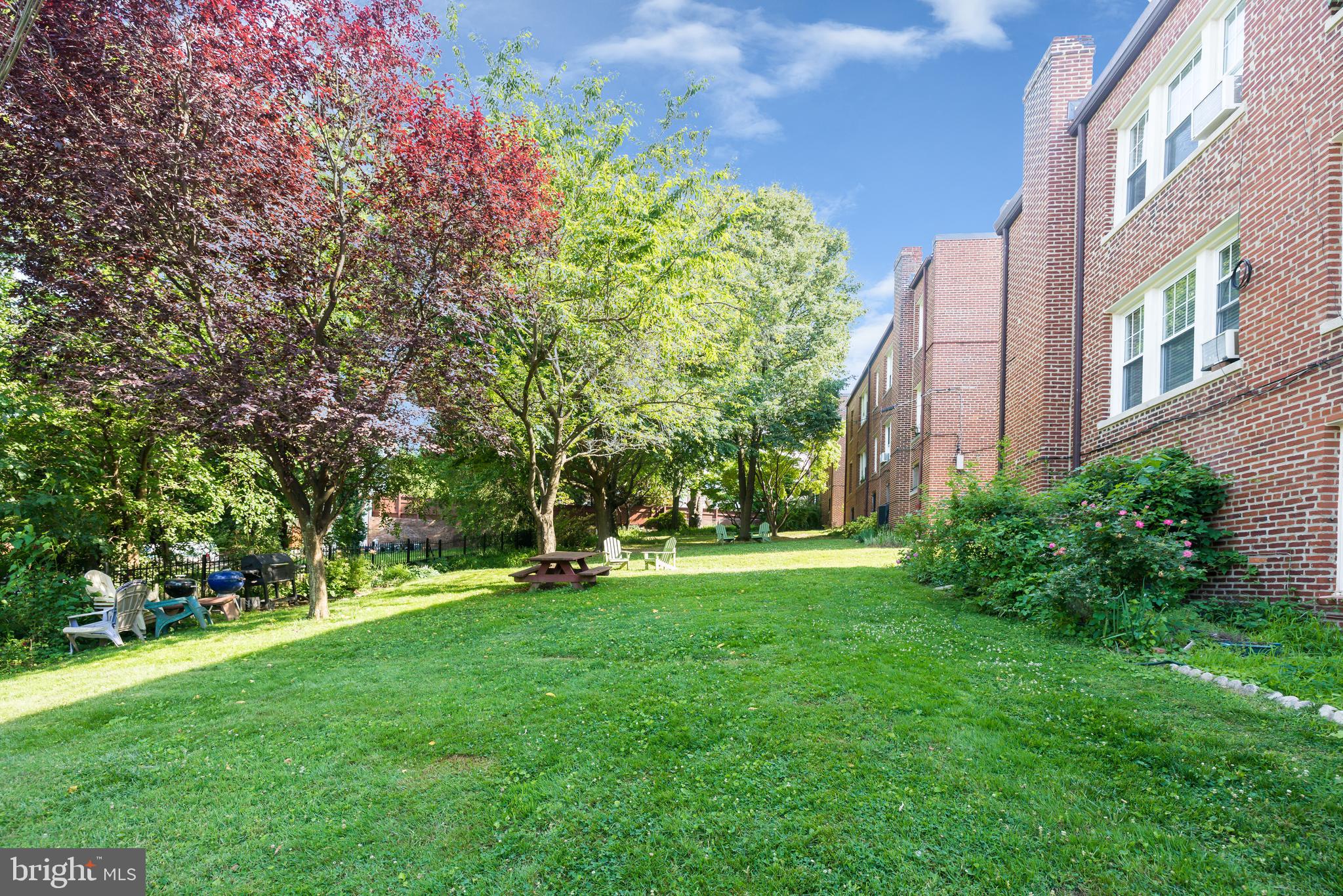 3409 29th Street Northwest, Unit 1 Washington, DC 20008 - Photo 19 of 23 Relax, Grill, Entertain
