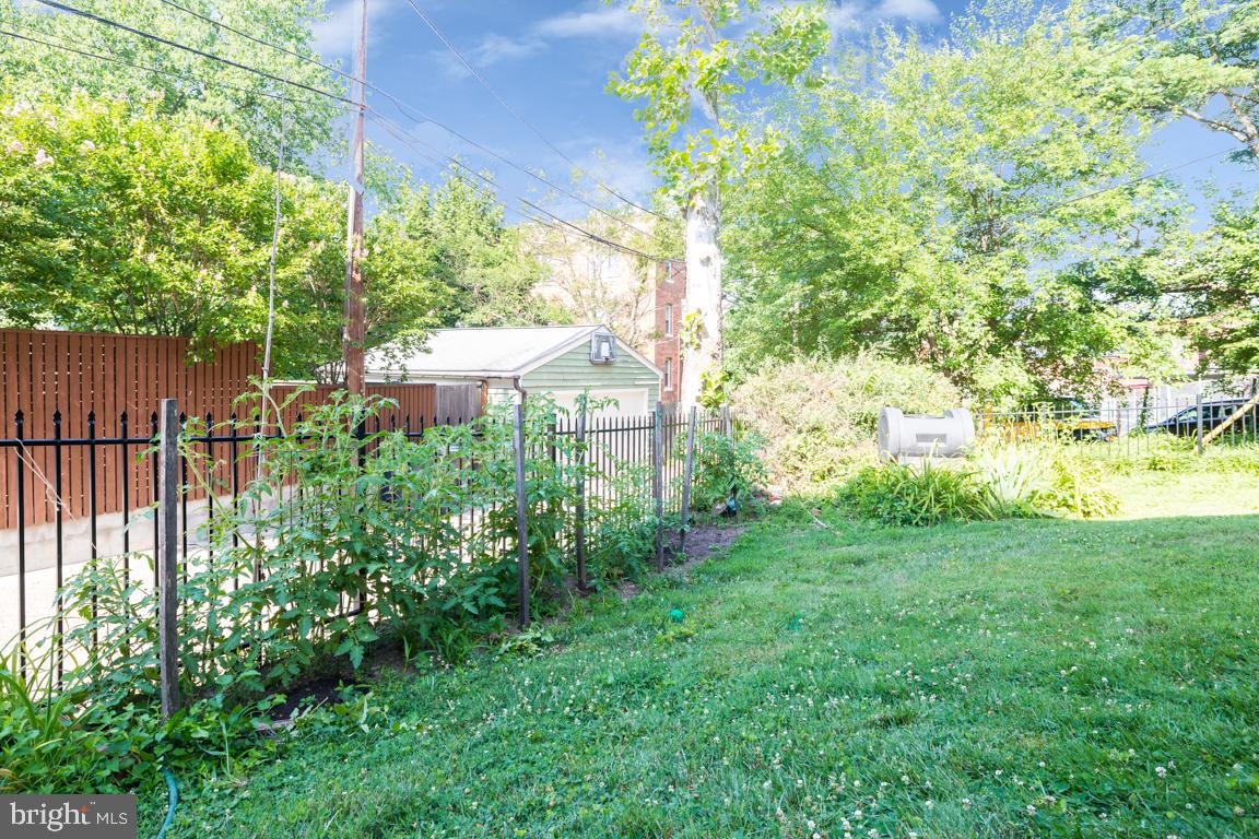 3409 29th Street Northwest, Unit 1 Washington, DC 20008 - Photo 20 of 23 All yours! local garden plots have 2+ yr waitlists