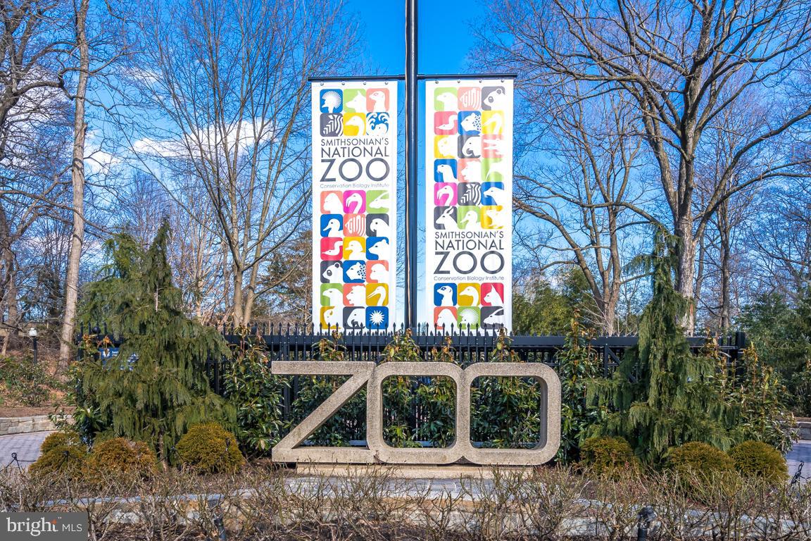 3409 29th Street Northwest, Unit 1 Washington, DC 20008 - Photo 23 of 23