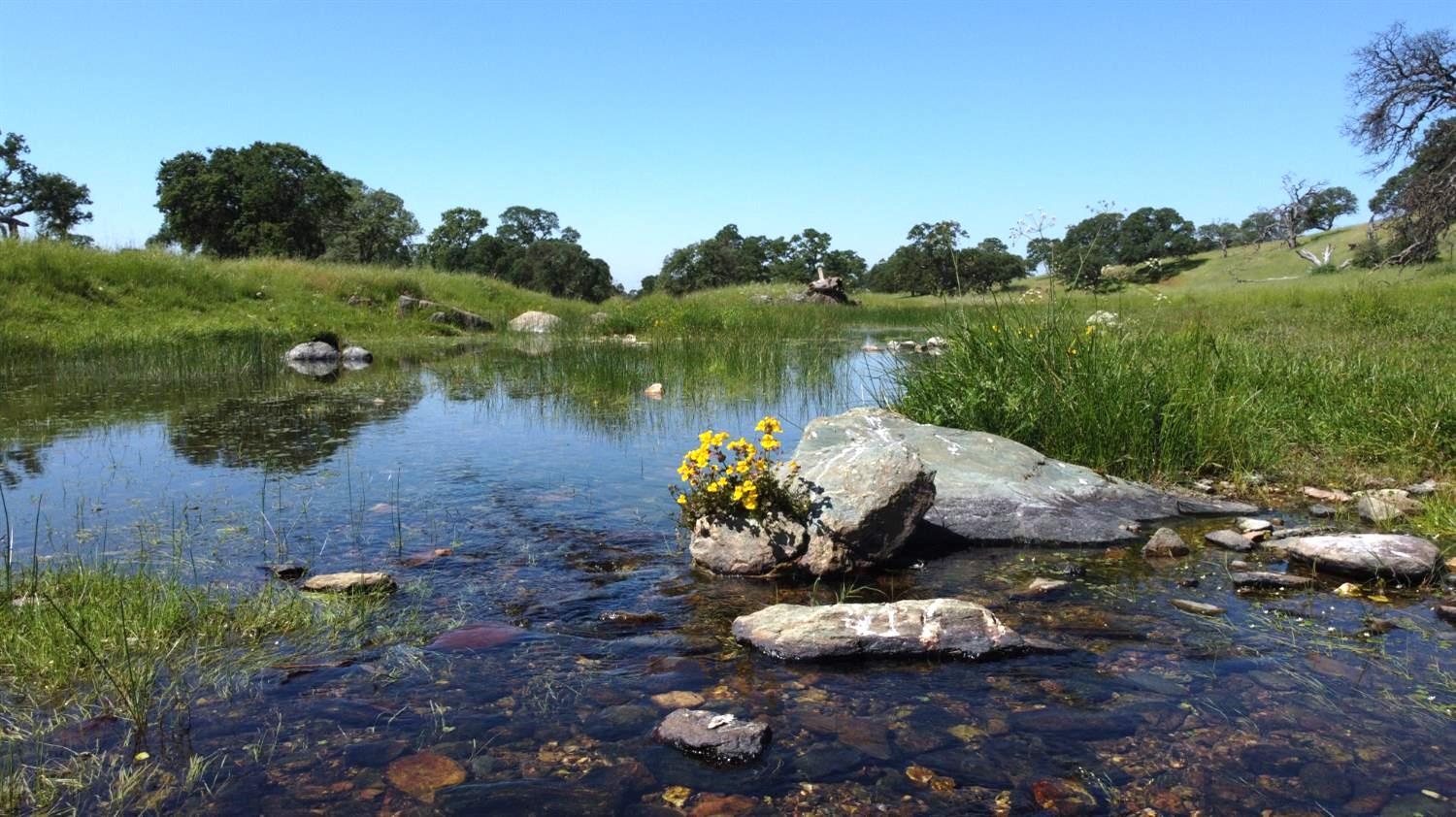 4 Zorro Road La Grange, CA 95329 - Photo 1 of 14 a view of a lake with a yard and outdoor seating