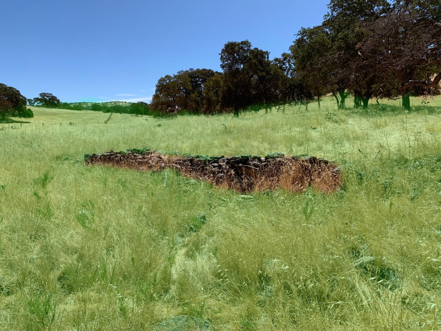 4 Zorro Road La Grange, CA 95329 - Photo 7 of 14 a view of a lush green space