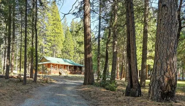 a view of a large trees with large trees