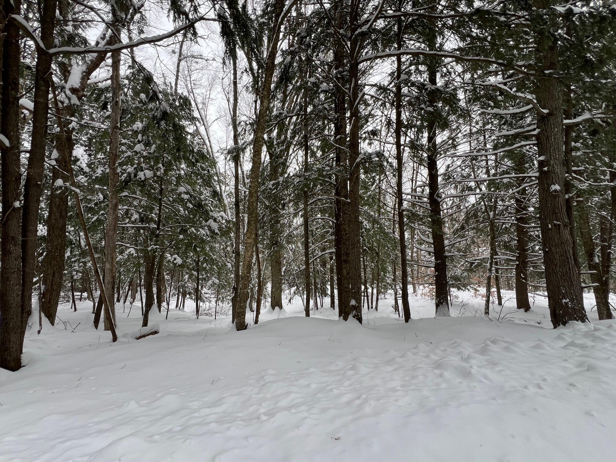 Lot 17 Shues Lane Ripley, ME 04930 - Photo 7 of 13 7