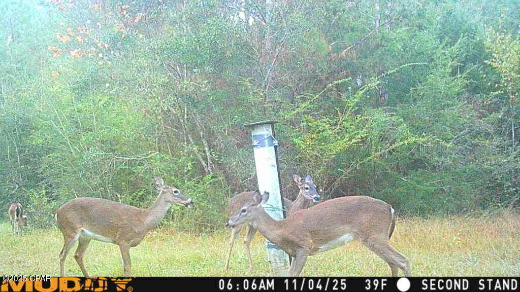 0 Hwy 77 Chipley Chipley, FL 32428 - Photo 22 of 23