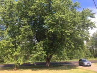 1653 Kingman Road Kingman, ME 04451 - Photo 2 of 18 18