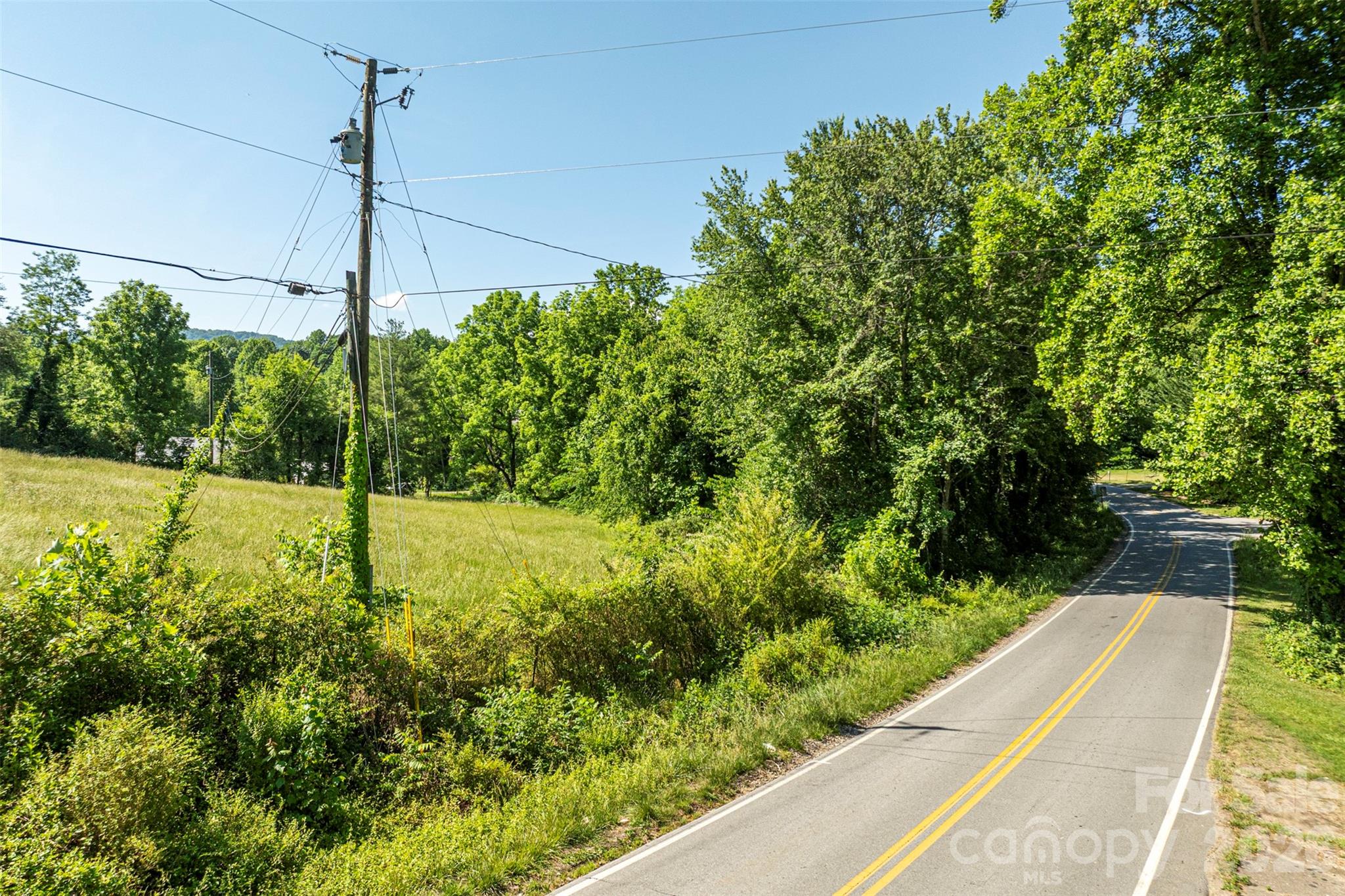 99999 Luther Road Candler, NC 28715 - Photo 2 of 14 Gallery Image 2