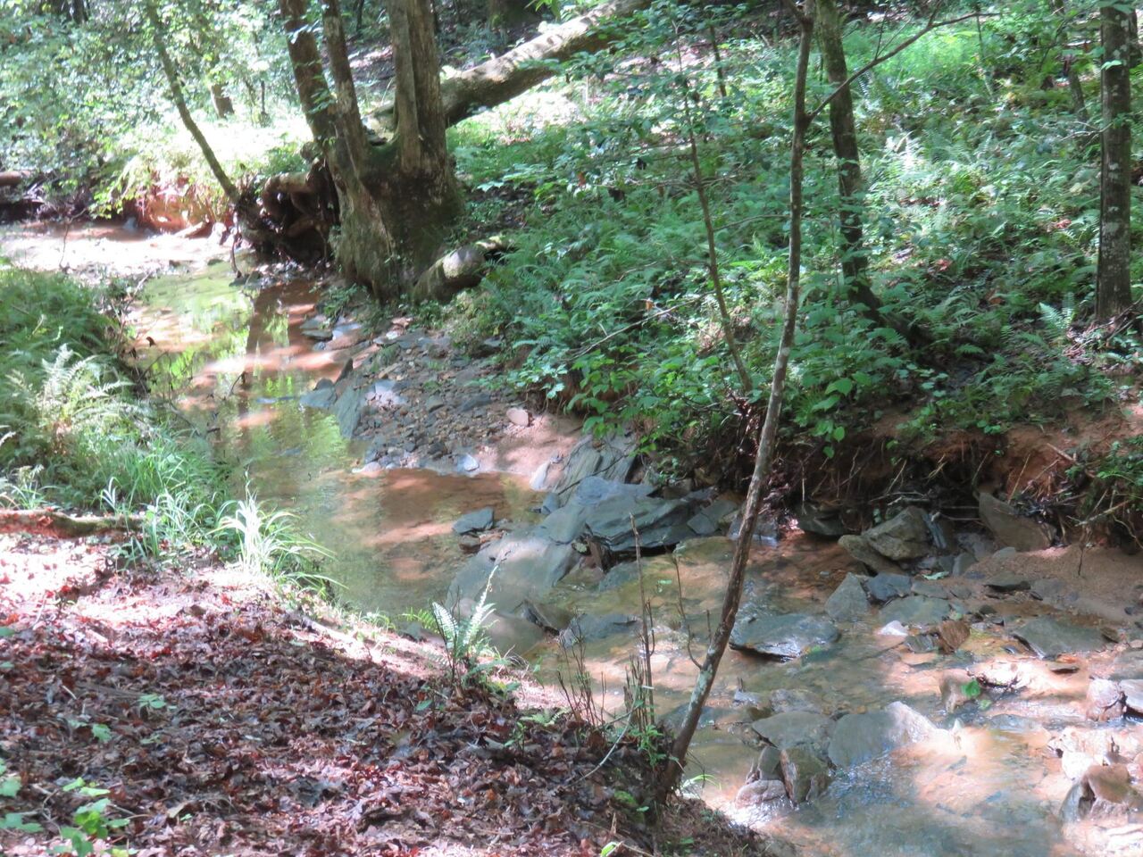 6 Old Cherokee Road, Unit 6 Cleveland, GA 30528 - Photo 1 of 1 a backyard of a house with lots of green space