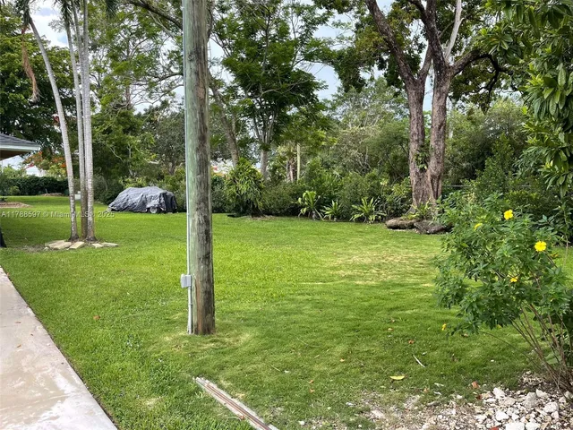a view of a backyard with large trees