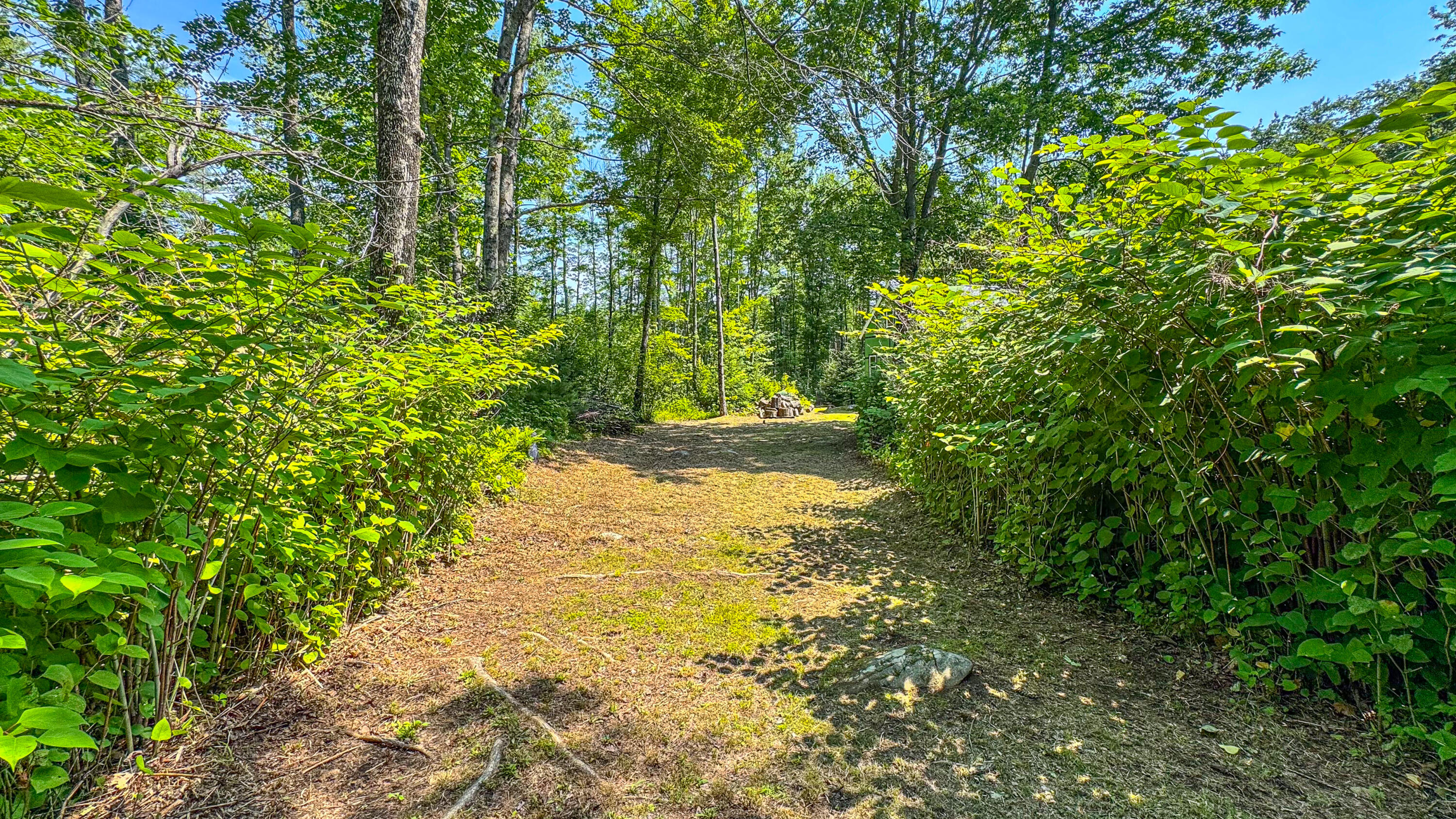 179 South Effingham Road Newfield, ME 04095 - Photo 6 of 37 179 south effingham road-40
