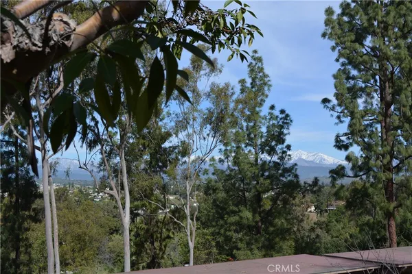 a view of a tree
