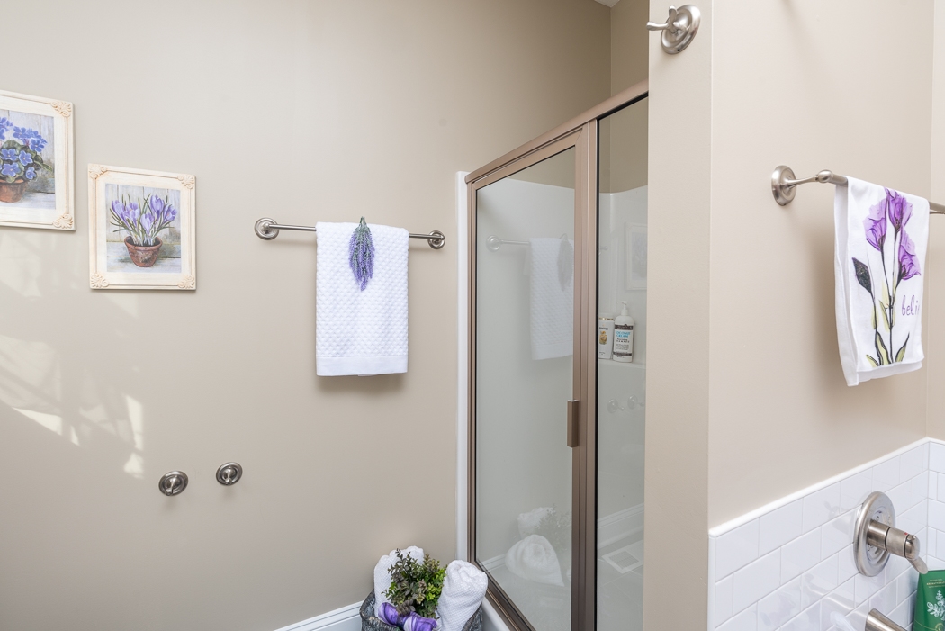 115 Ridgemore Drive Raphine, VA 24472 - Photo 22 of 42 a bathroom with a shower and a bath tub