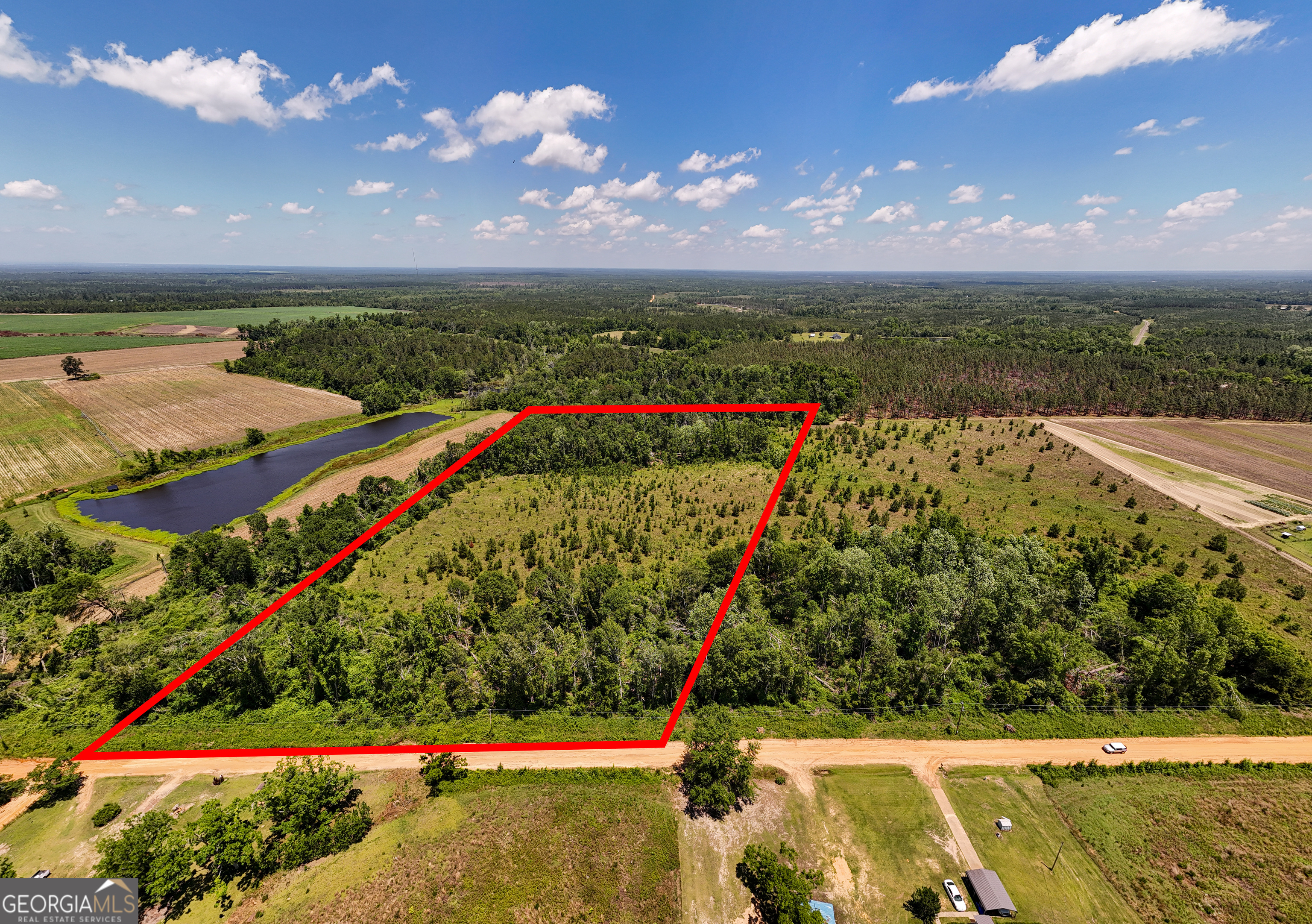 12.37-acres- Lo Perry Horton Road Adrian, GA 31002 - Photo 1 of 1