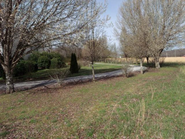 1680 Fishing Ford Road Belfast, TN 37019 - Photo 24 of 25 Gallery Image 24