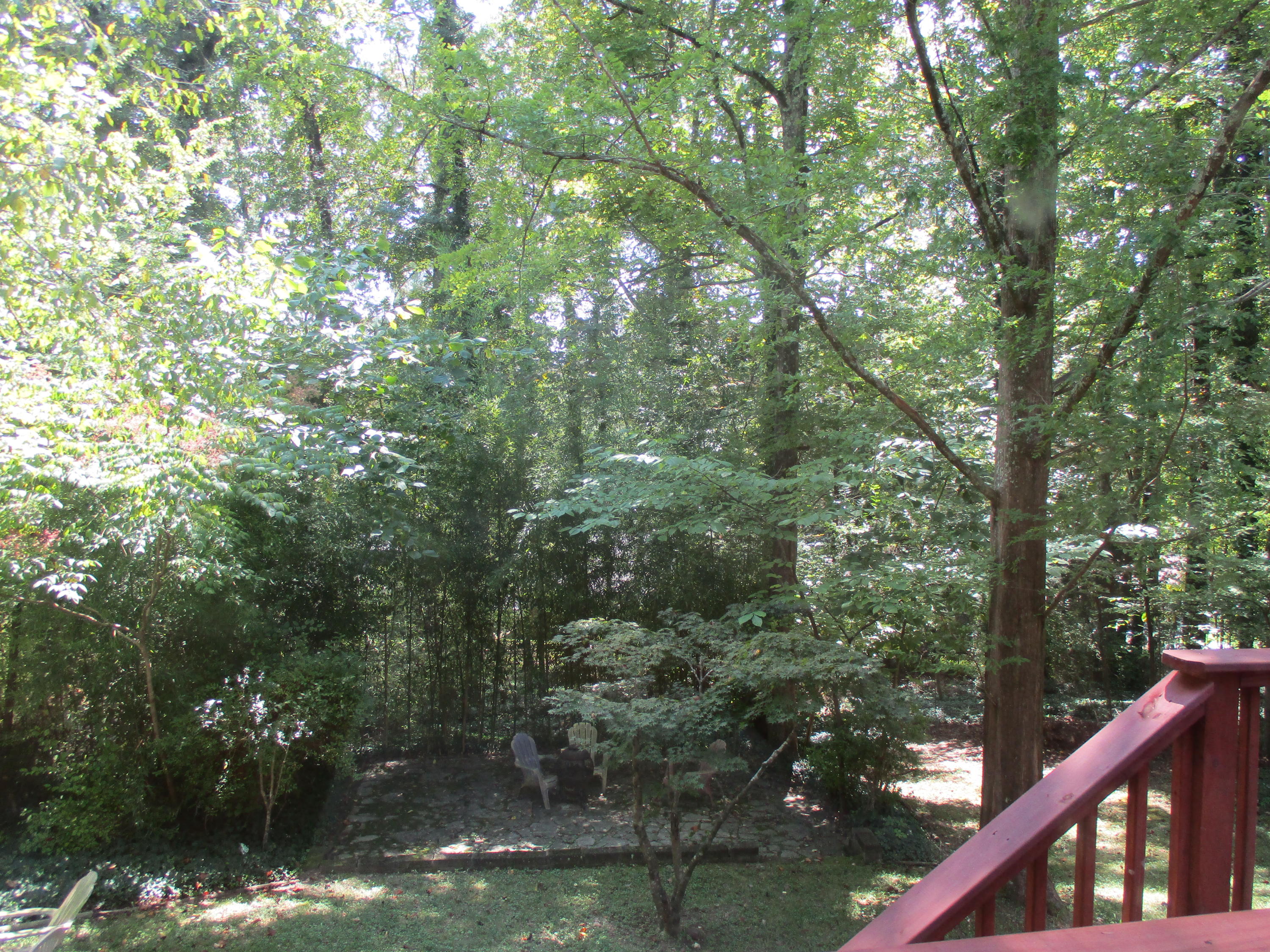 109 Decatur Road Oak Ridge, TN 37830 - Photo 38 of 40 IMG_0438