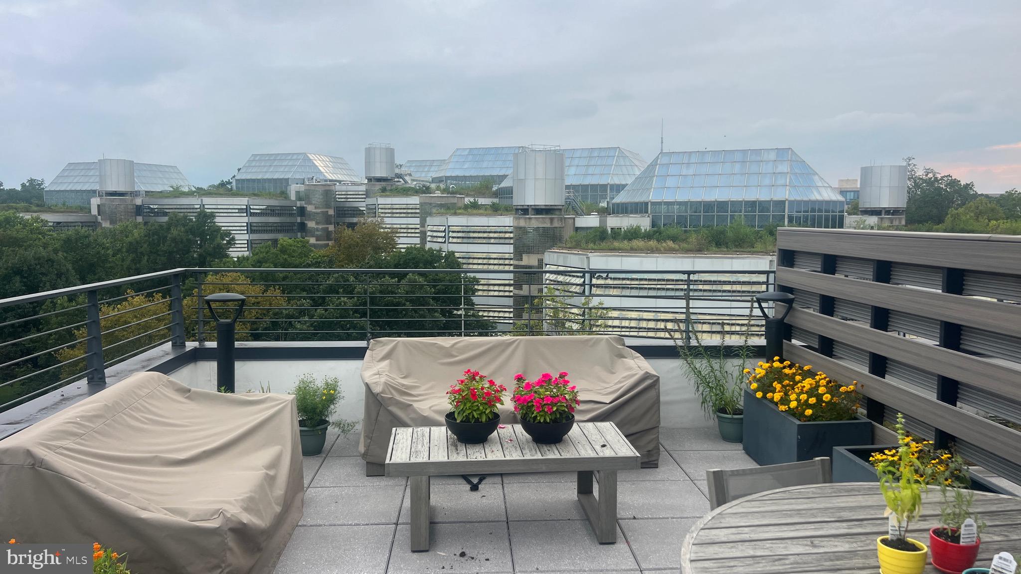 4111 Connecticut Avenue Northwest, Unit 502 Washington, DC 20008 - Photo 6 of 7 a view of a terrace with couches and a potted plant on a table
