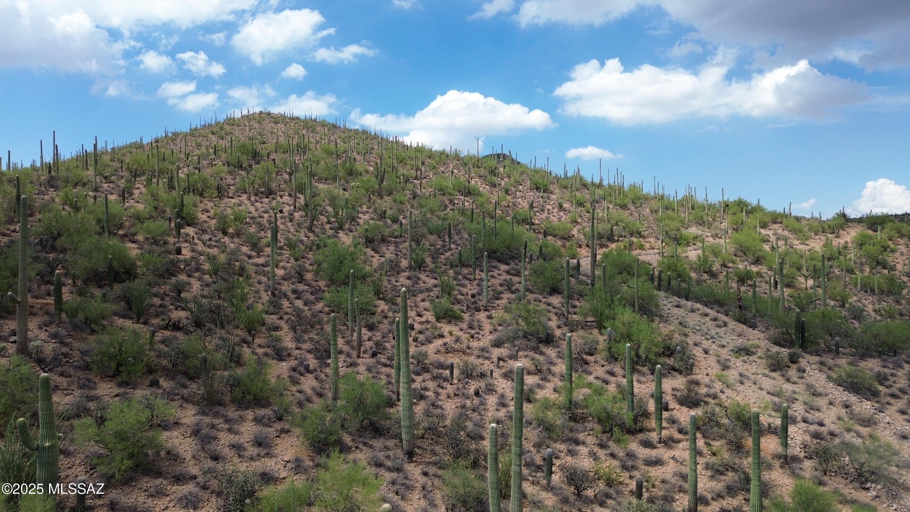 475 South Hotel Service Road Tucson, AZ 85745 - Photo 41 of 49 DJI_0768