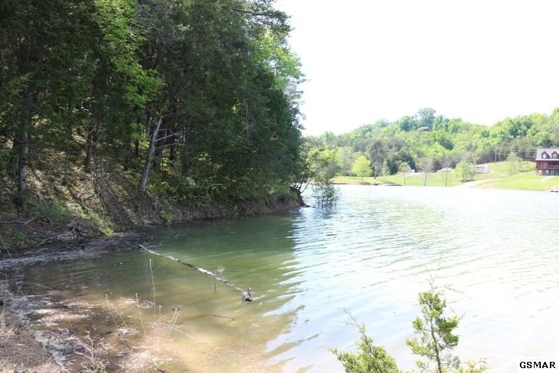 0 Lot 35 Buck Horn Road Sevierville, TN 37876 - Photo 4 of 30