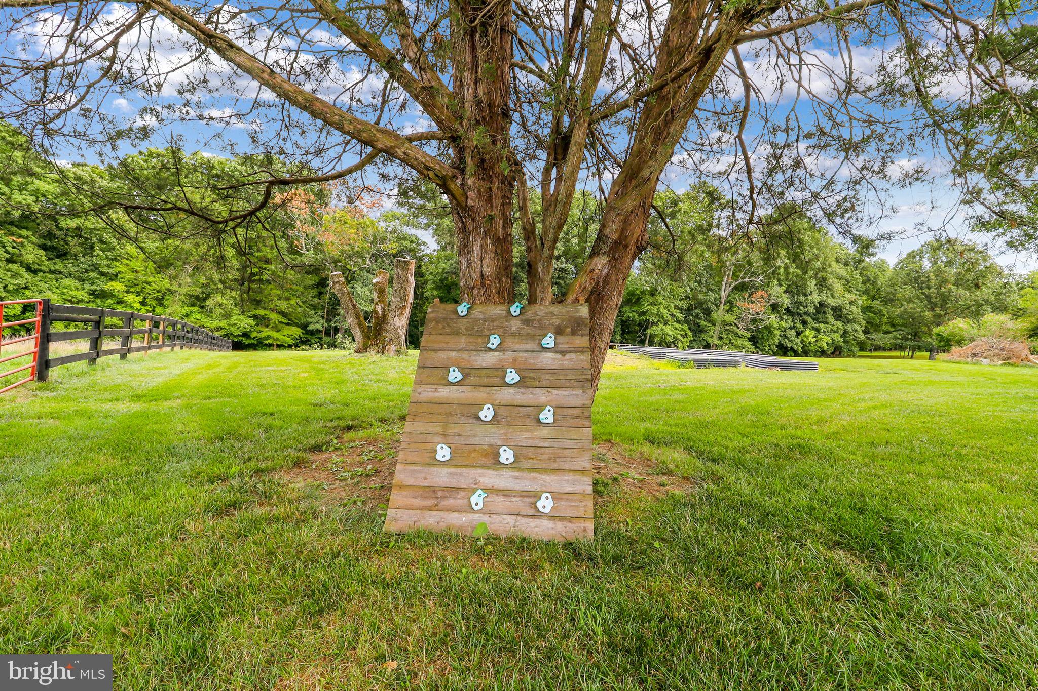 21960 Oatlands Road Aldie, VA 20105 - Photo 13 of 79 a view of a tree in a yard with plants