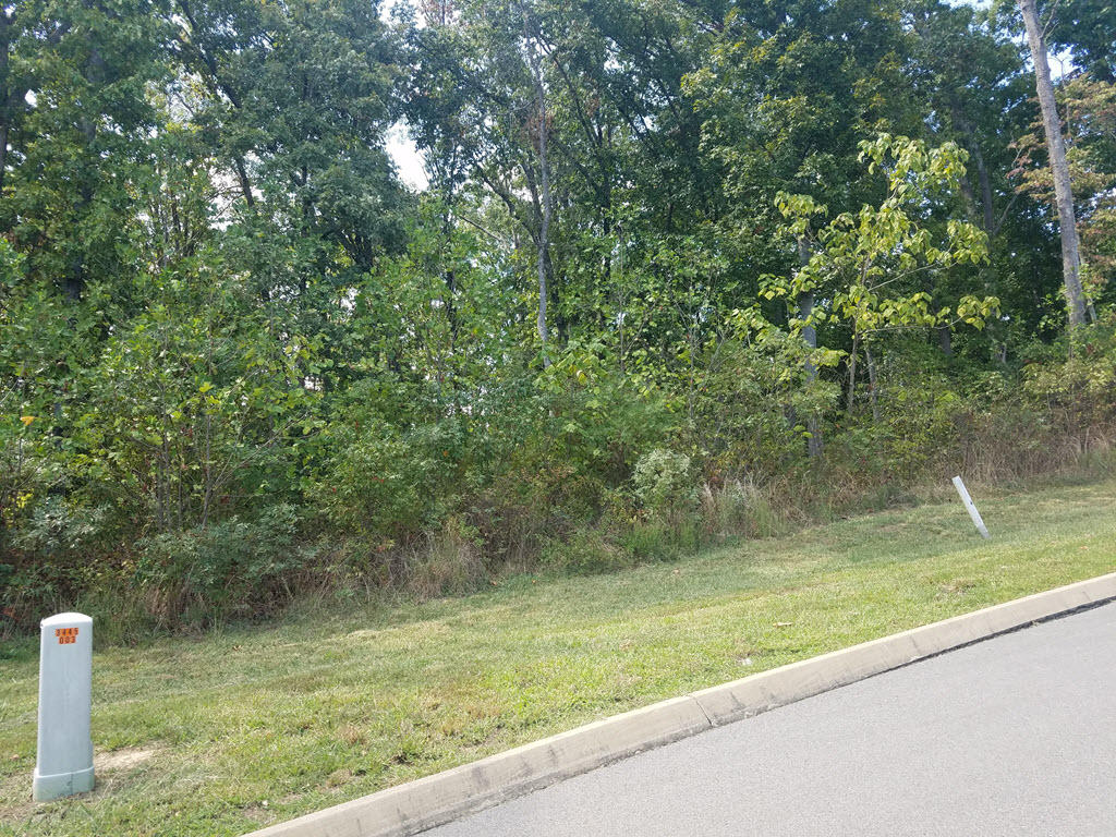 Lot 137 Tumbleweed Trail Rutledge, TN 37861 - Photo 11 of 24 2016-10-01 14.12.39
