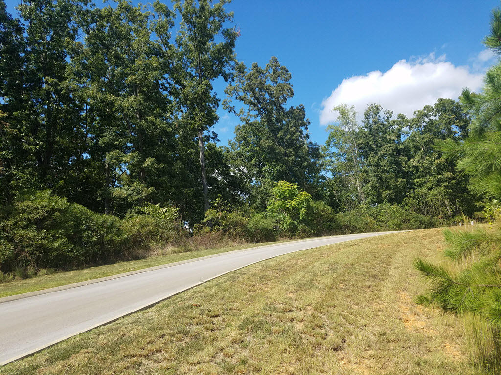 Lot 137 Tumbleweed Trail Rutledge, TN 37861 - Photo 14 of 24 2016-10-01 14.14.47