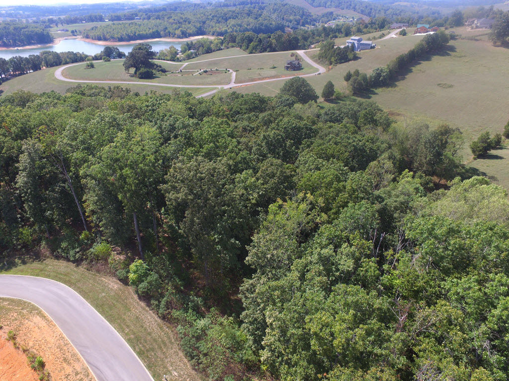 Lot 137 Tumbleweed Trail Rutledge, TN 37861 - Photo 22 of 24 DJI_0081