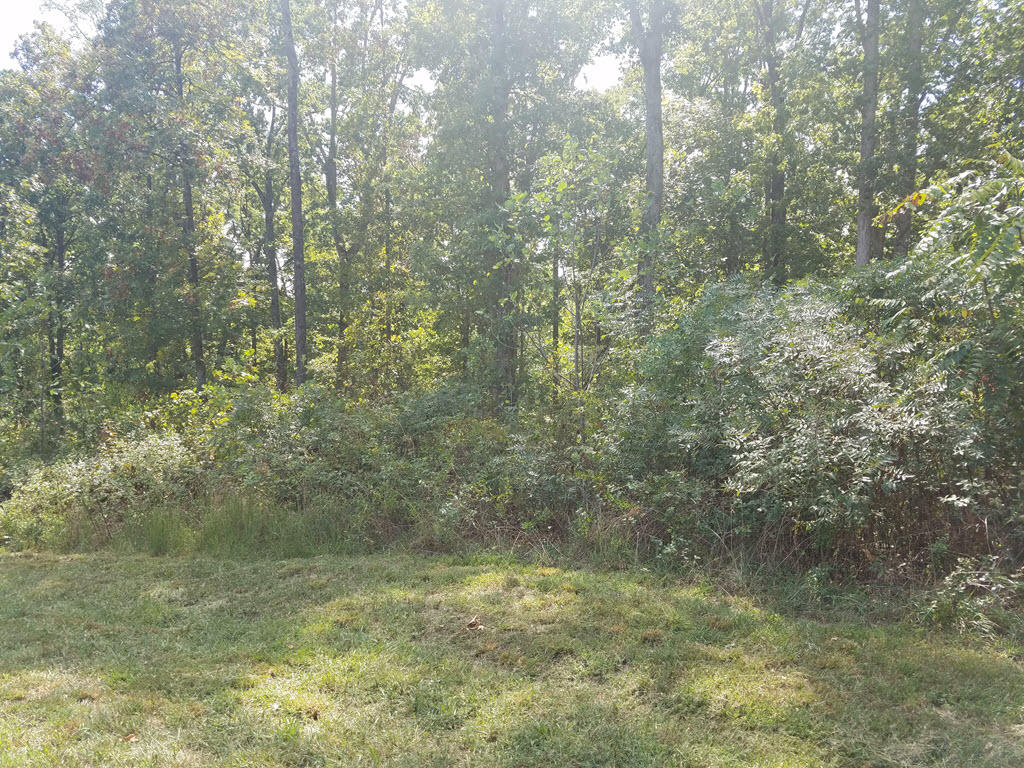 Lot 137 Tumbleweed Trail Rutledge, TN 37861 - Photo 4 of 24 2016-10-01 14.12.55