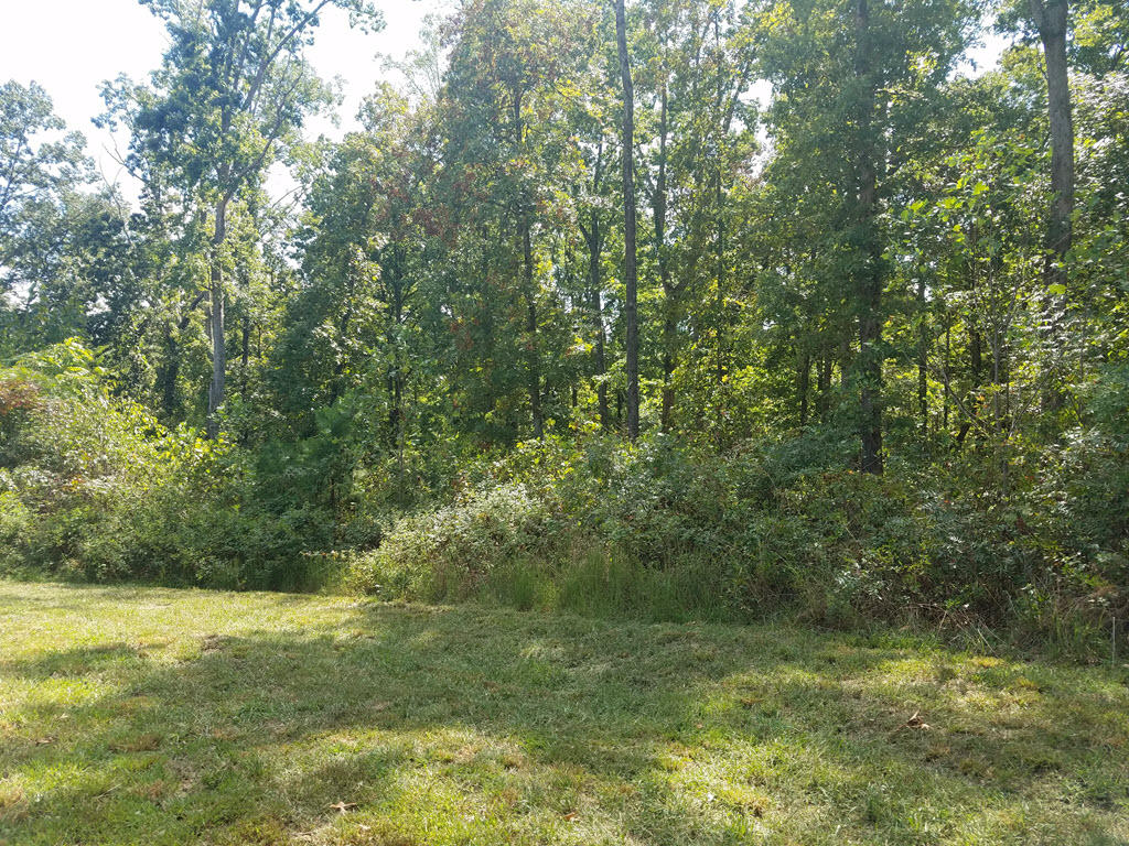 Lot 137 Tumbleweed Trail Rutledge, TN 37861 - Photo 5 of 24 3