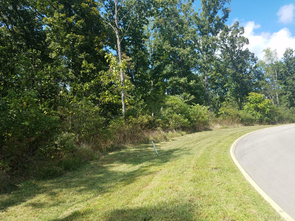 Lot 137 Tumbleweed Trail Rutledge, TN 37861 - Photo 6 of 24 2016-10-01 14.13.02