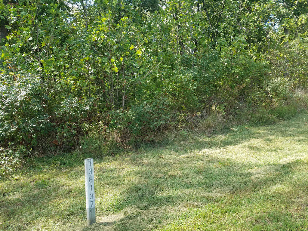 Lot 137 Tumbleweed Trail Rutledge, TN 37861 - Photo 8 of 24 2016-10-01 14.13.16