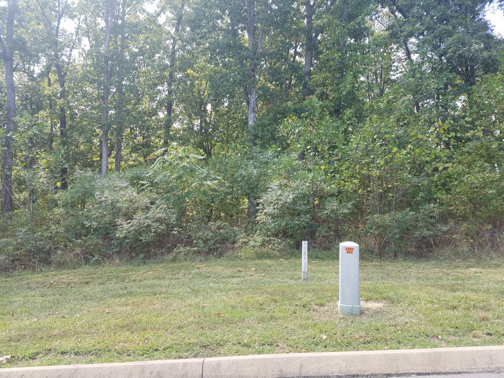 Lot 137 Tumbleweed Trail Rutledge, TN 37861 - Photo 9 of 24 2016-10-01 14.12.37