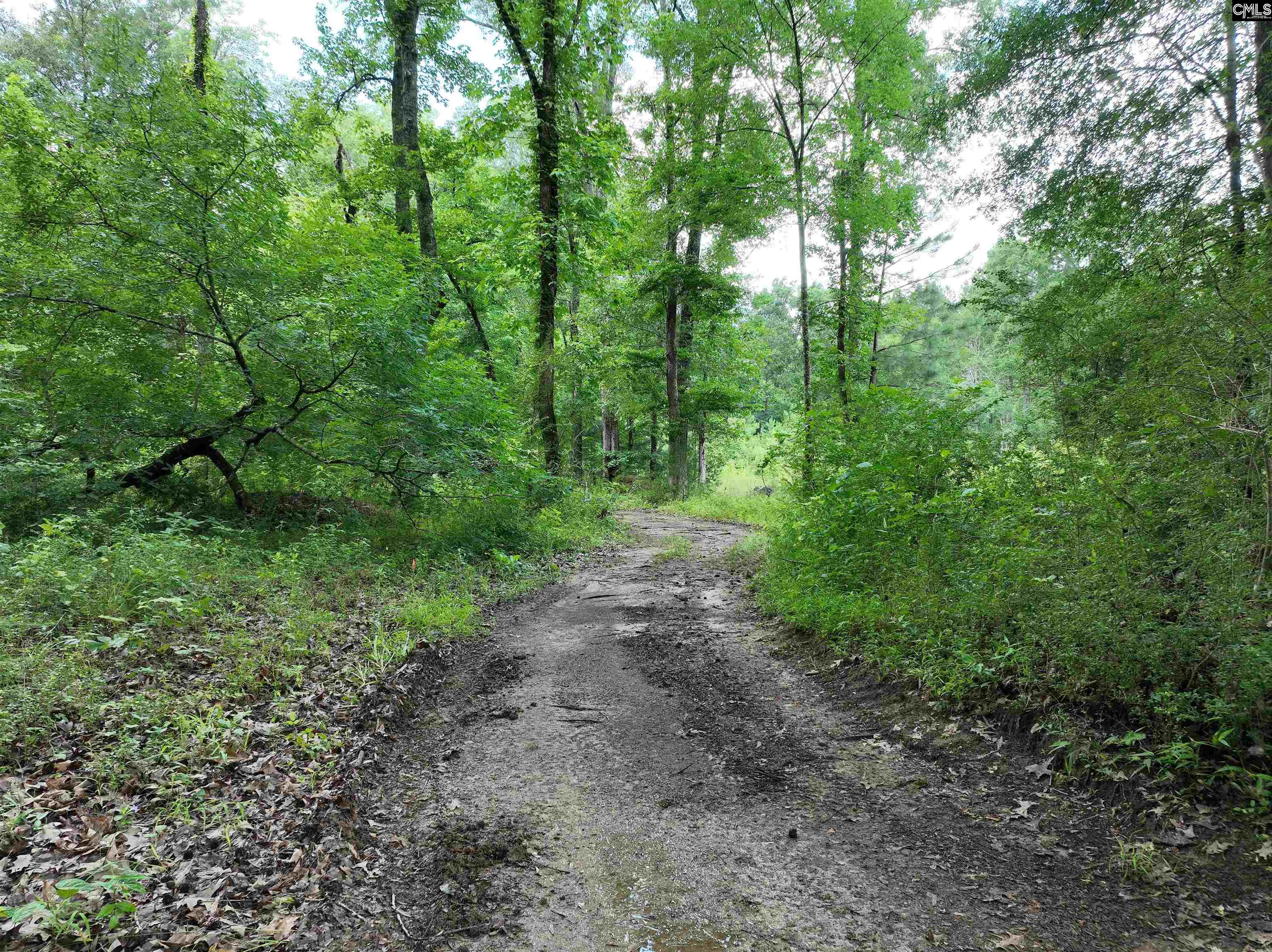 0 Rocky Branch Road Little Mountain, SC 29075 - Photo 3 of 24 a view of a lush green forest