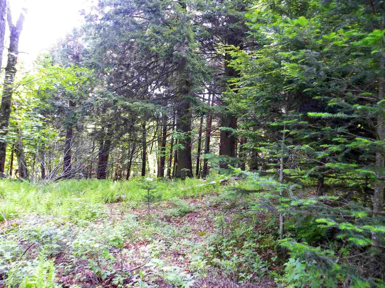 - Center Road Irasburg, VT 05845 - Photo 14 of 15 Gallery Image 14