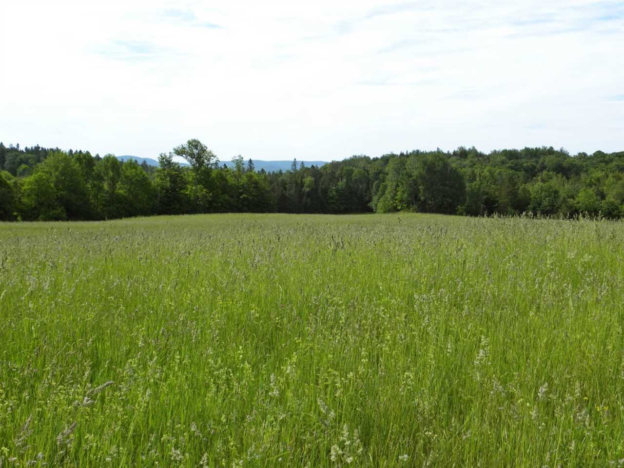 - Center Road Irasburg, VT 05845 - Photo 8 of 15 Gallery Image 8