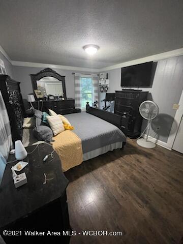 348 Bruce Randolph Road Parrish, AL 35580 - Photo 13 of 23 Gallery Image 13