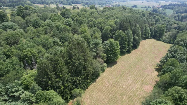 $175,000 | 0 State Highway, Hartwick, NY 13348