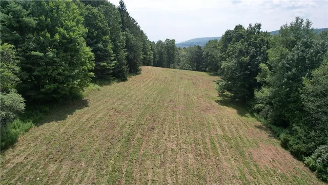 $175,000 | 0 State Highway, Hartwick, NY 13348