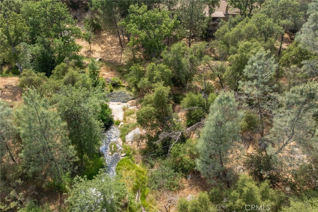 32413 Chickasaw Road Coarsegold, CA 93614 - Photo 45 of 66 a view of a forest with lots of trees