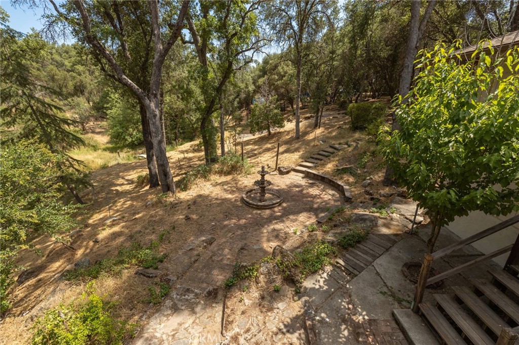 32413 Chickasaw Road Coarsegold, CA 93614 - Photo 47 of 66 a view of a yard with plants and trees