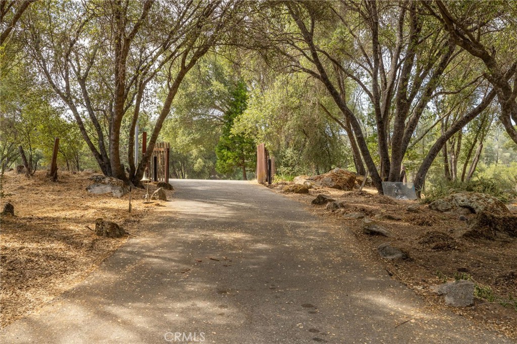 32413 Chickasaw Road Coarsegold, CA 93614 - Photo 48 of 66 a view of outdoor space with trees
