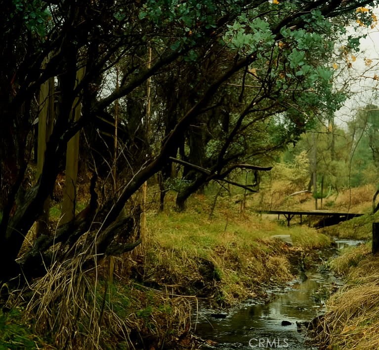 32413 Chickasaw Road Coarsegold, CA 93614 - Photo 63 of 66 Seasonal Creek