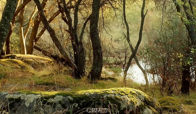 32413 Chickasaw Road Coarsegold, CA 93614 - Photo 64 of 66 Seasonal Creek