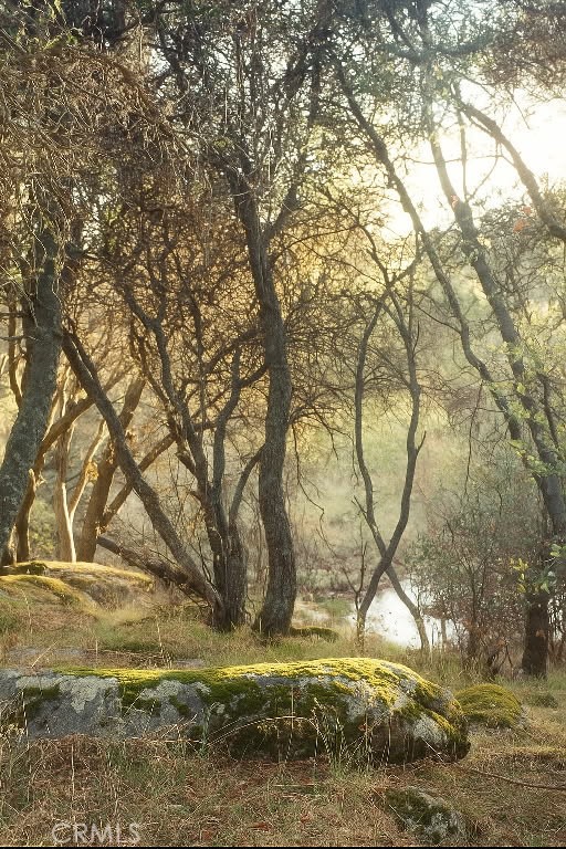 32413 Chickasaw Road Coarsegold, CA 93614 - Photo 65 of 66 a view of yard