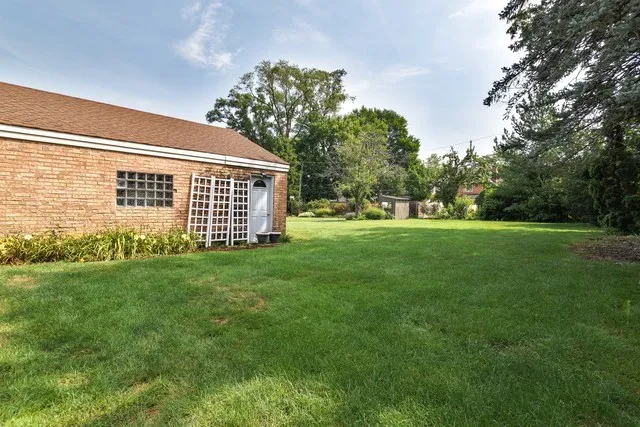 a view of a backyard with large trees