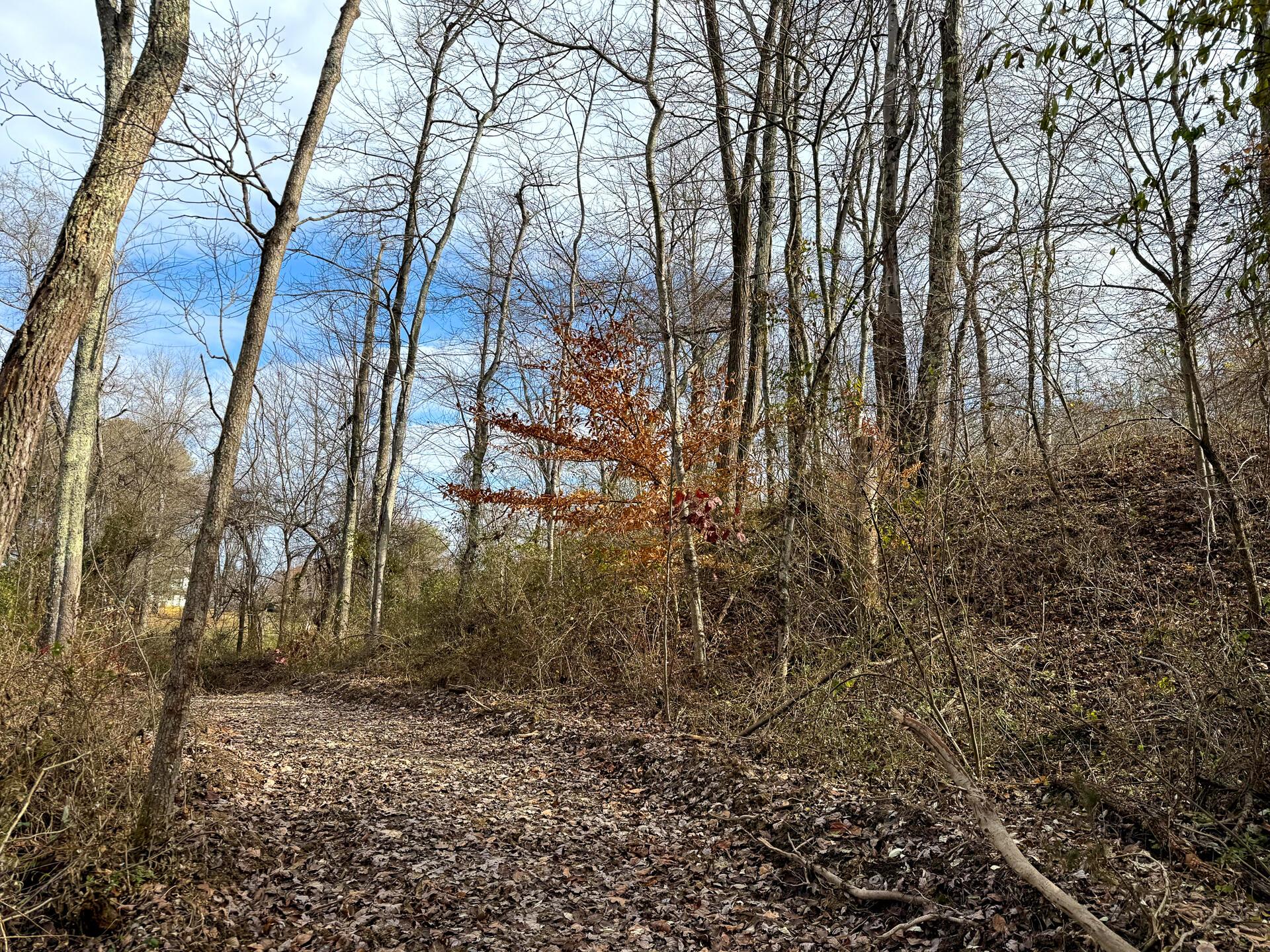 0 Dutch Ridge Road Southeast, Unit WOODS TURKEY RUN TRACT 1) New Lexington, OH 43764 - Photo 17 of 43 CT-17