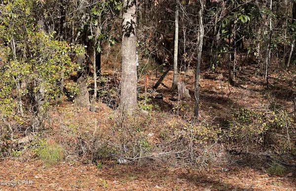 $15,000 | 0 Jacob Main Street, Cottondale, FL 32431