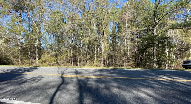 $15,000 | 0 Jacob Main Street, Cottondale, FL 32431